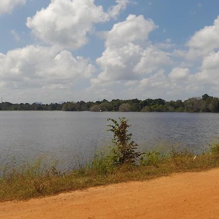 Wild View Stay Хабарана Екстер'єр фото