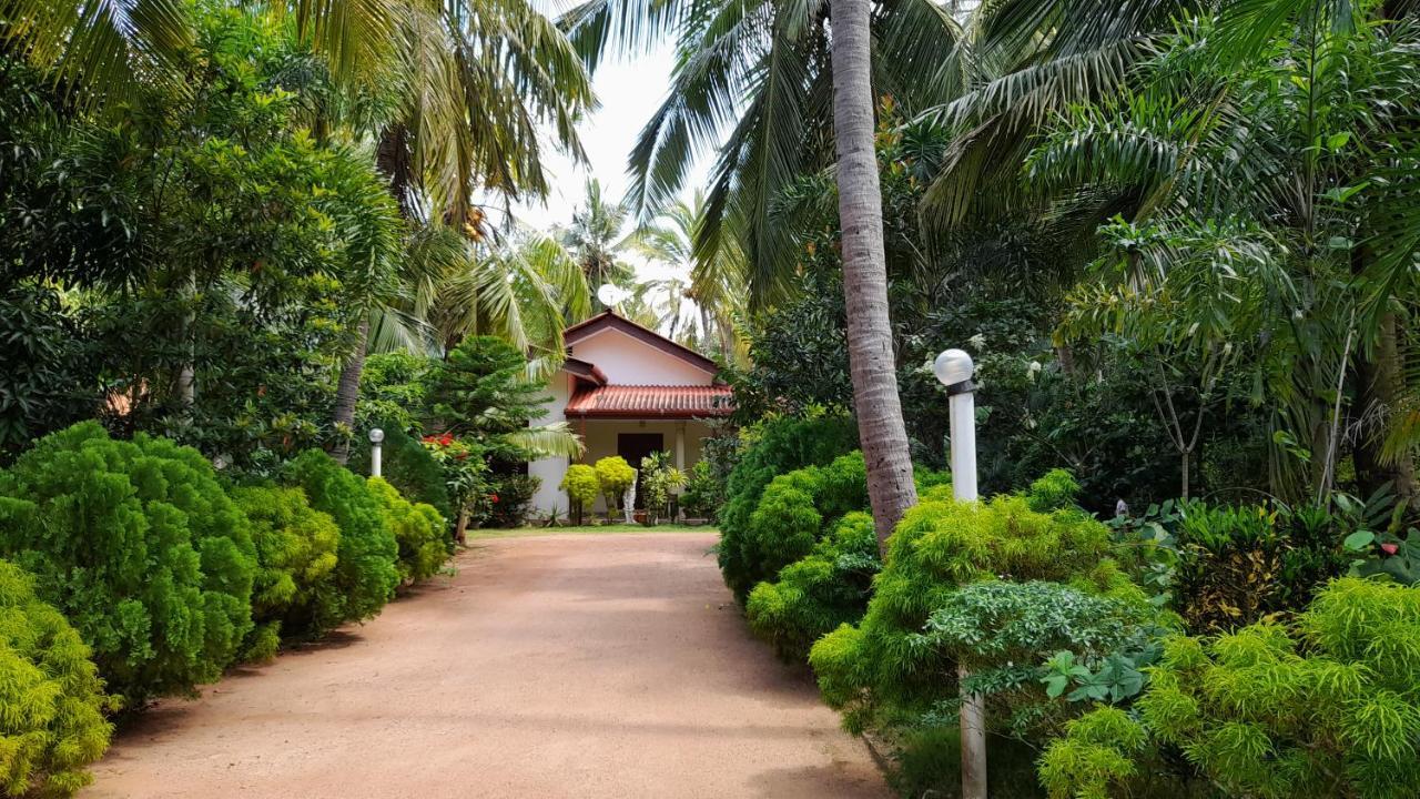 Wild View Stay Хабарана Екстер'єр фото
